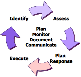 Project Risk Management Process